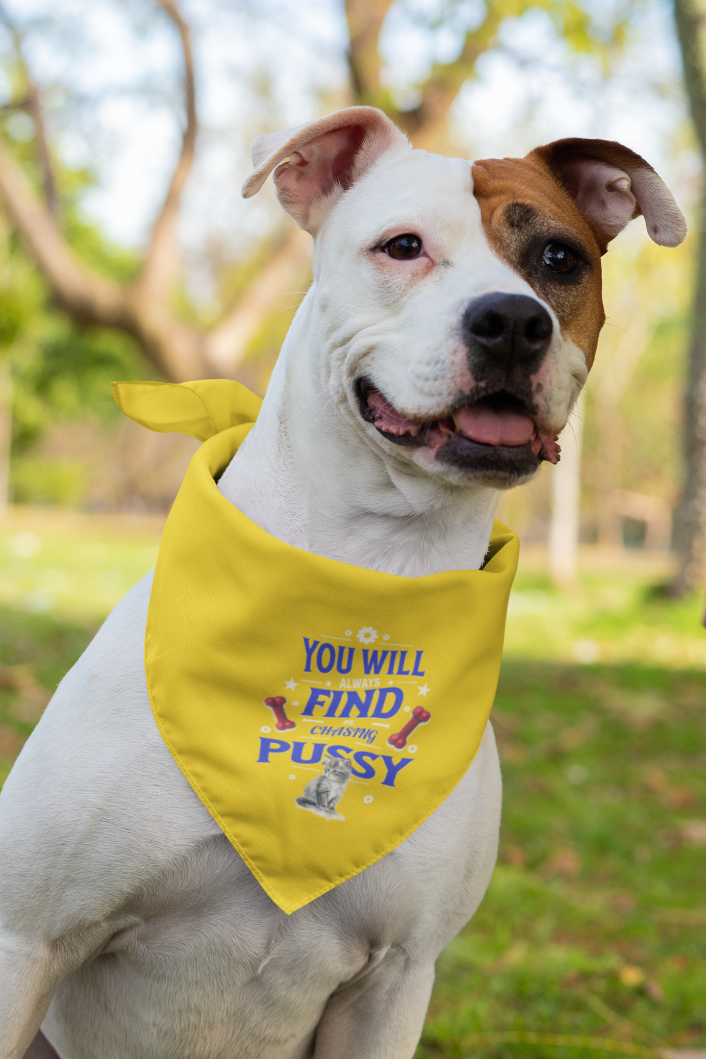 Playful Clip-on Pet Bandana for Pets, Funny Dog Bandana, Funny Pet Costume, Gift for Pet Lovers, Cute Pet Wear, You Will Find Me Chasing