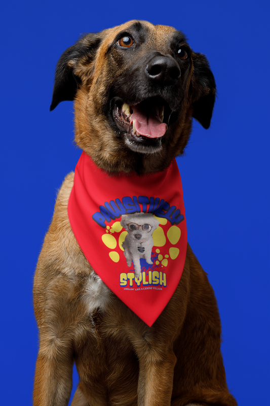 Stylish Personalized Pet Bandana for Dogs, Custom Cute Dog Accessory, Pet Clothing, Dog Birthday Gift, Pet Fashion, Everyday Wear