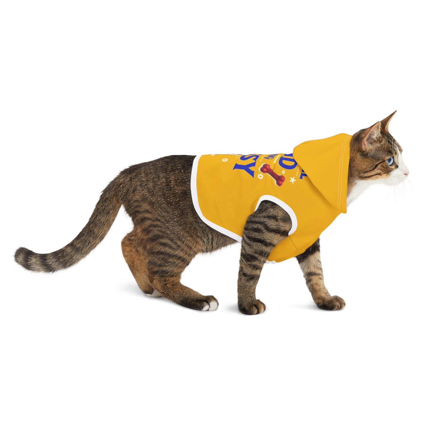 Funny Pet Hoodie: 'You Will Find Me Chasing Pussy Cat' Design, Dog and Cat Apparel, Cute Pet Costume, Gift for Pet Lovers, Funny Pet Outfit