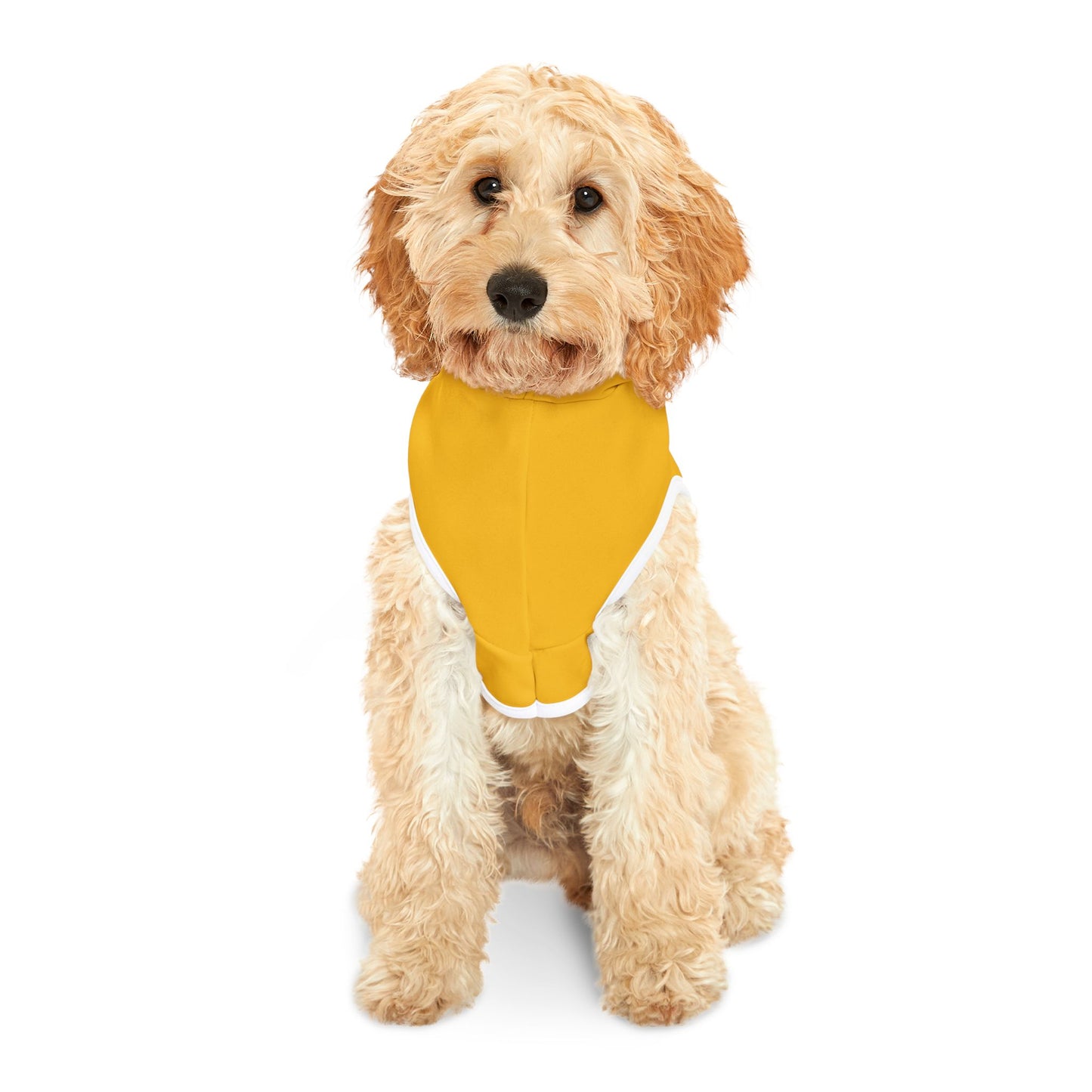 Funny Pet Hoodie: 'You Will Find Me Chasing Pussy Cat' Design, Dog and Cat Apparel, Cute Pet Costume, Gift for Pet Lovers, Funny Pet Outfit